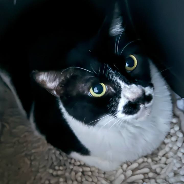 11f316be 6081 473c 97ef 0e01b61a2558 1716936748717