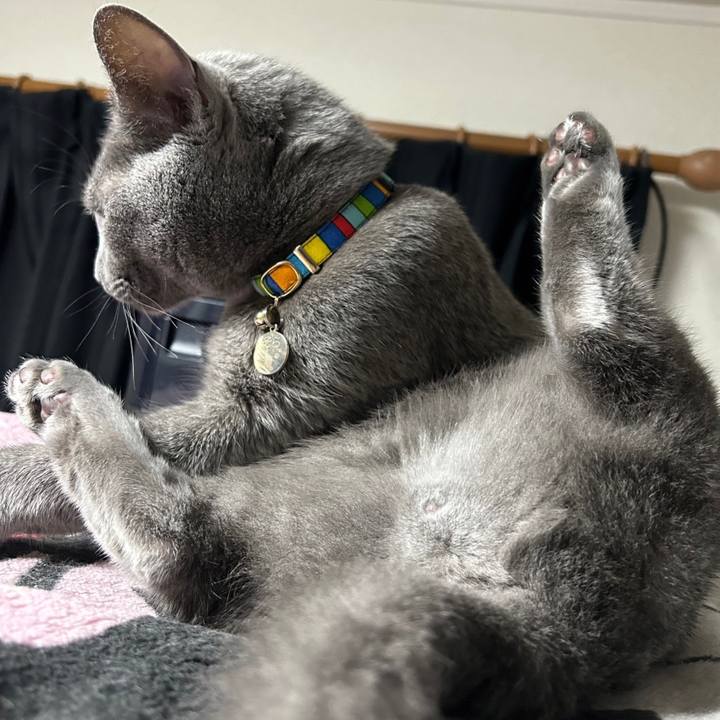 11f33ceb cf78 4b47 af4d b7956f37af82 1702112486332