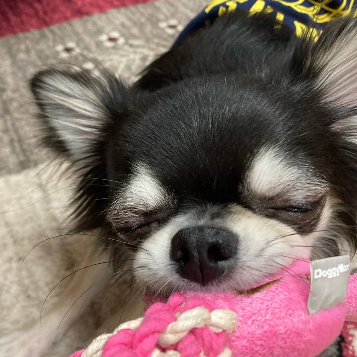 11f375ab e0fe 4a53 a92c ae905b695604 1612623773475