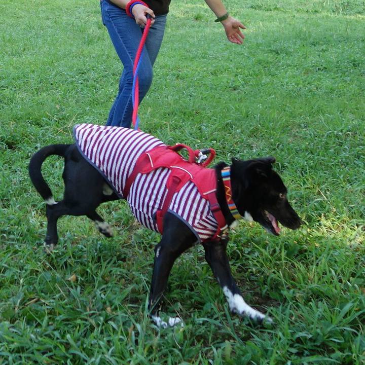 11f3765d 4eb9 46f9 abcd 99474f14d645 1598052311155