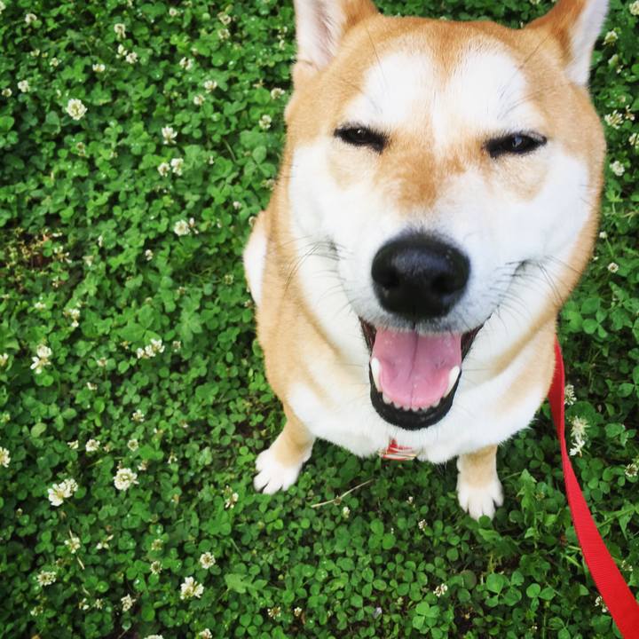 11f384d7 9977 4e60 952c e4bbc72776ff 1524650510574