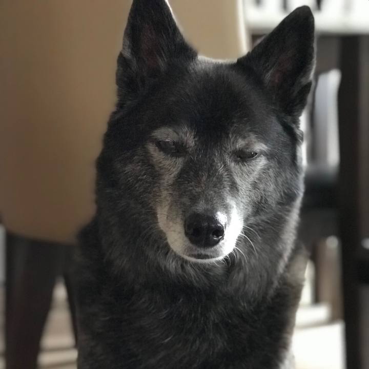 11f3b075 08d4 4c83 834c 3ed5b8ecd878 1589377500236