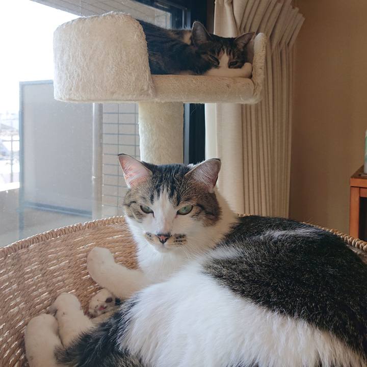 11f3e1aa 6855 4dde 9db9 97ade6221be1 1603599679184