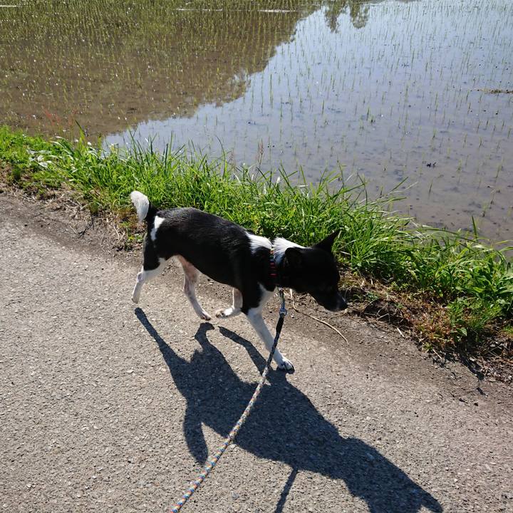 11f3e26d 8333 47ac a349 53c780edb4d5 1558654159062