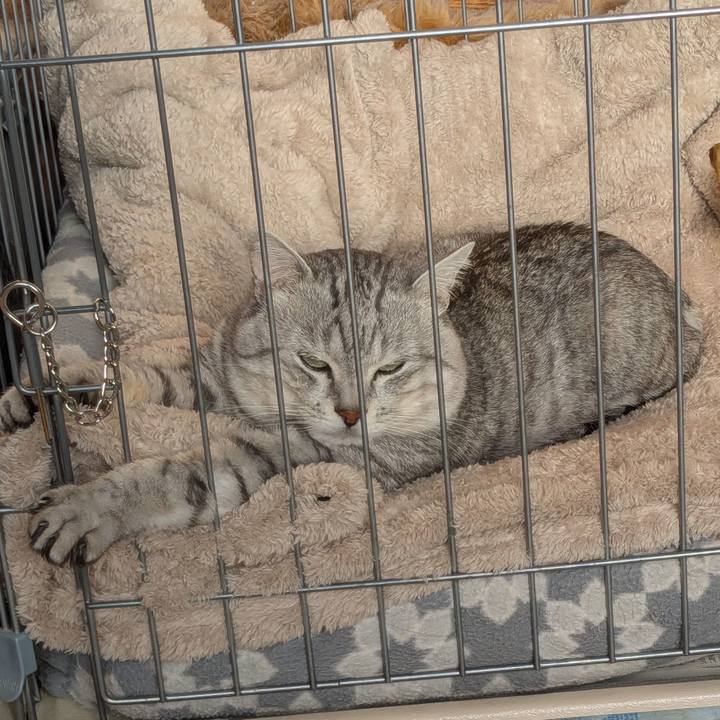 11f40d11 86f4 48bb b22f 74fed8e38141 1741141952916