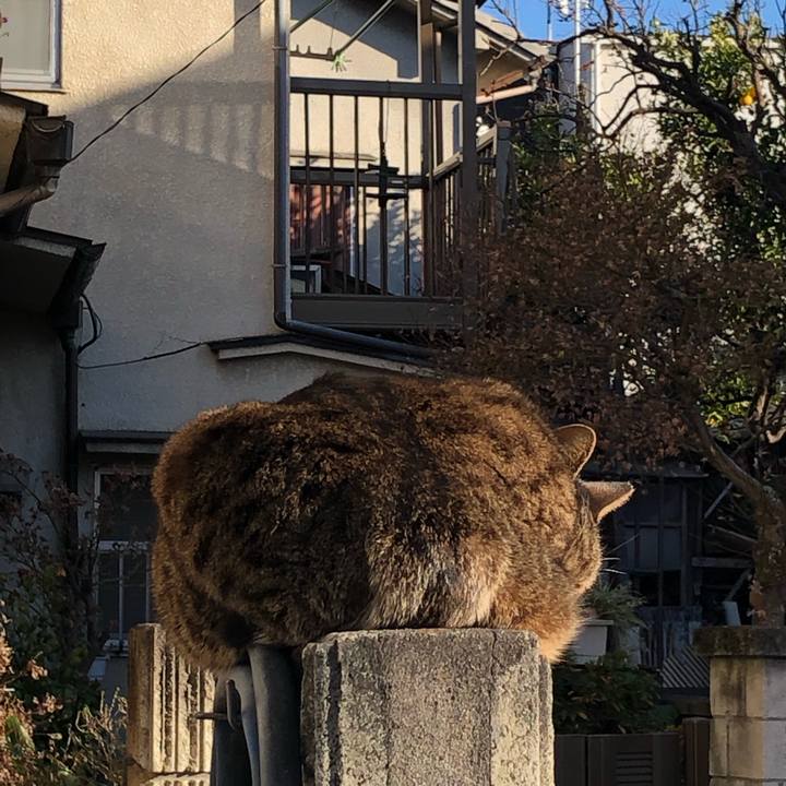 11f40da4 95af 48ff 86e9 637347818f1e 1547987321341