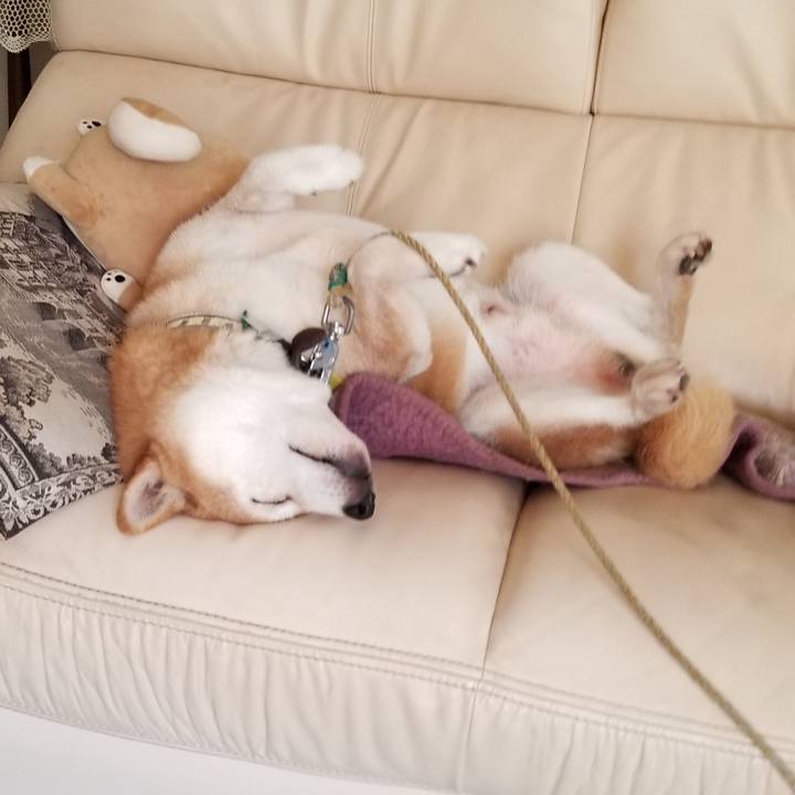 11f41545 e620 45b8 a1ea 2593af1b37b5 1630026098589