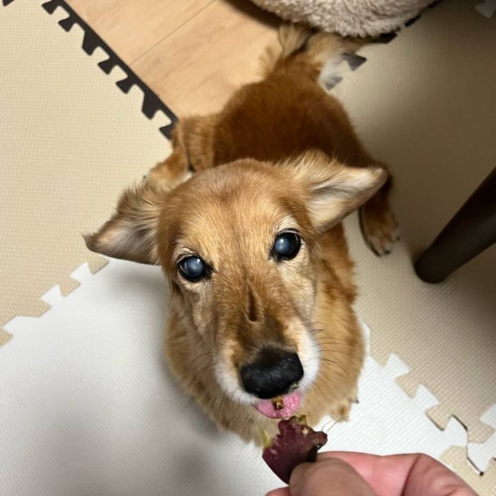 11f4202a 791e 4e7c 916f f72ee13bffb9 1647602866847