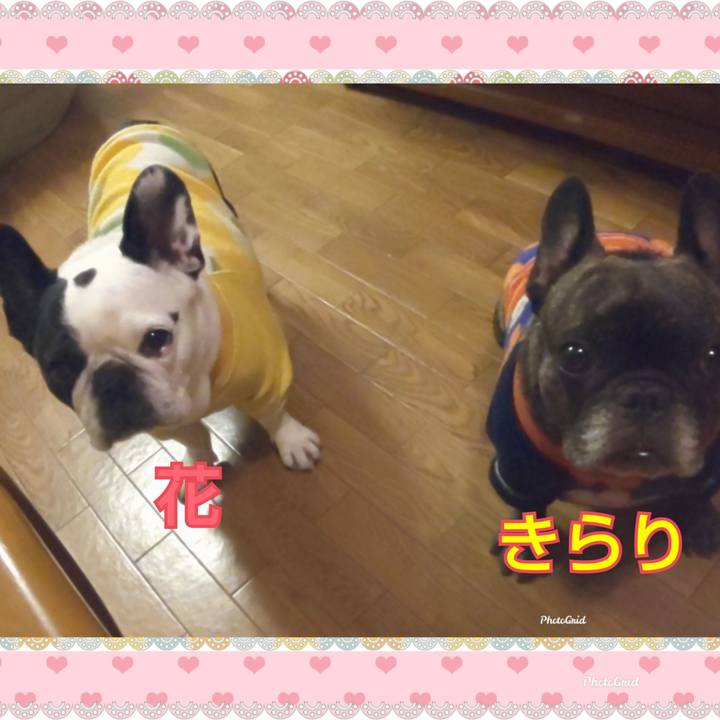 11f4382b b13a 4ff4 9945 f6321bf72bc1 1678486885210