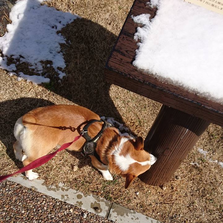 11f4810b ba28 43e8 a2ce 89396c164a92 1640572573371