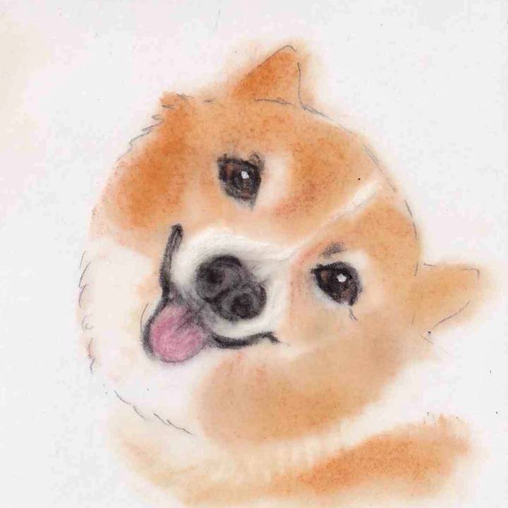 11f49ac5 03fd 4491 a0c6 54728077854c 1634378658551