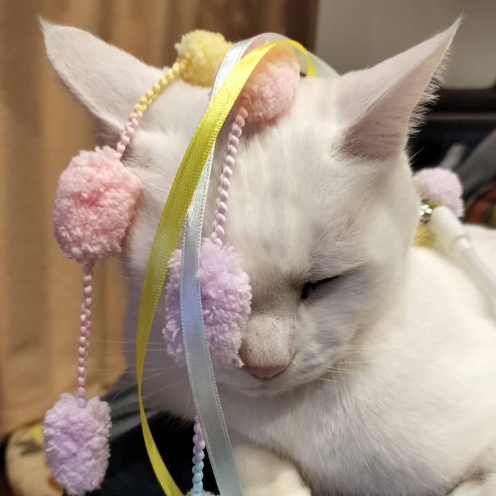 11f4c25c 67a6 47d4 94e5 6e4383fa346b 1769861757964