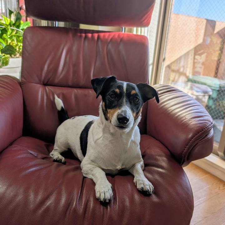 11f4e2ed 7bfa 4c30 97d4 9d6d5ce5240f 1739168206330