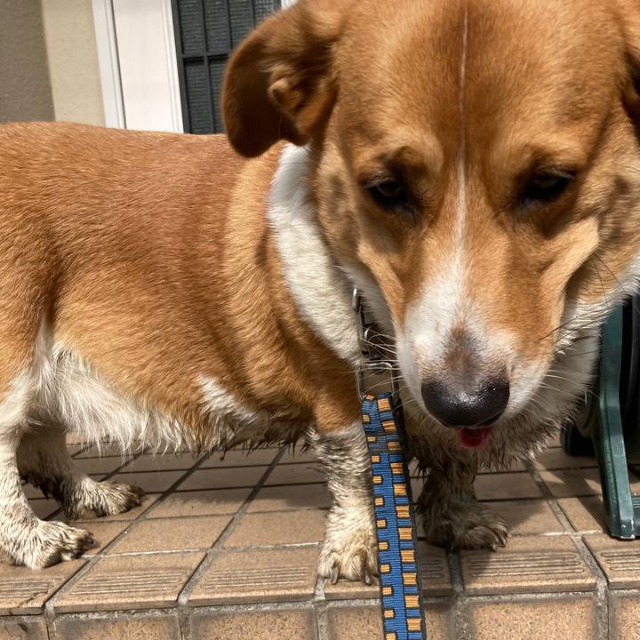 11f51682 2dd7 449e bd94 9ccb82df3064 1675742148982