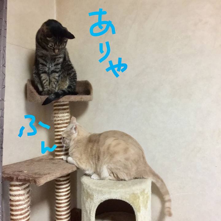 11f54305 dc9d 4e5e 848d e7a3c0cd67e4 1511005529391