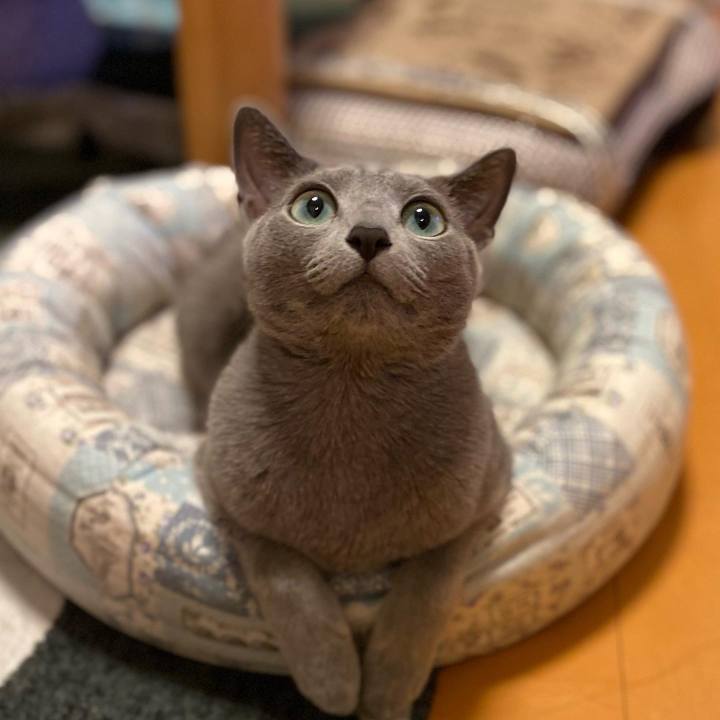 11f54765 7799 488f 80f3 109221b99868 1653952475784