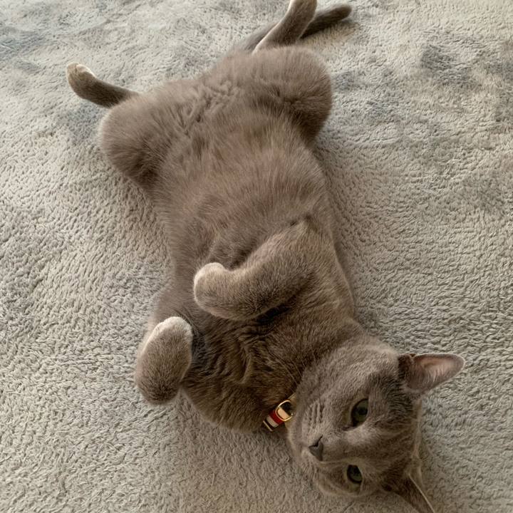 11f54cb4 a03e 44a9 abee 69f9a0e9cb3b 1623291081867