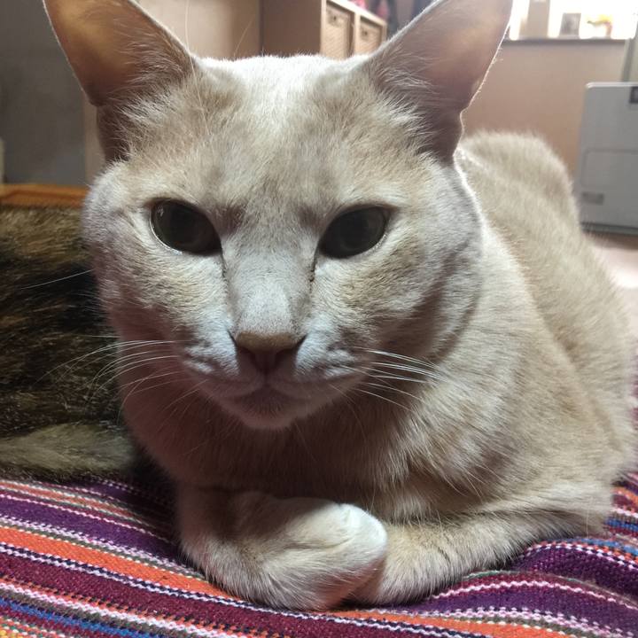 11f565e6 17fc 4d7a a9fd 2ef8c59a90ec 1556492342090