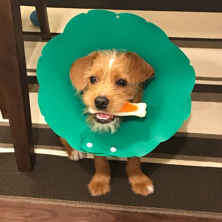 11f58f31 d0f2 48d9 a642 745b46b8e799 1526345722722