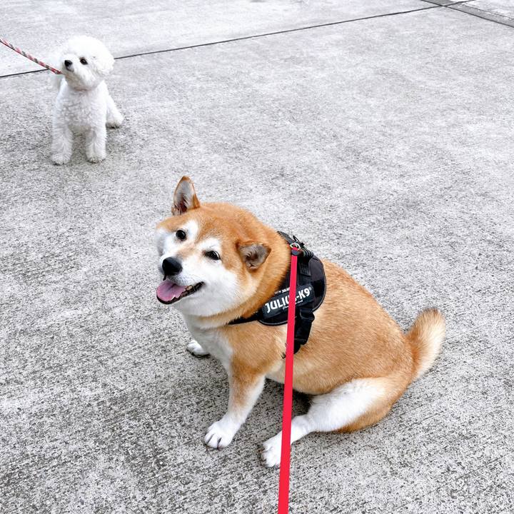 11f5a208 cdcd 4ea5 b153 d24030e6bec2 1655174124922