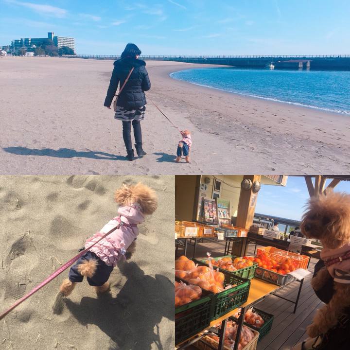 11f5a663 5dc8 4ddb 91a2 9d295fab2a1b 1518956942241