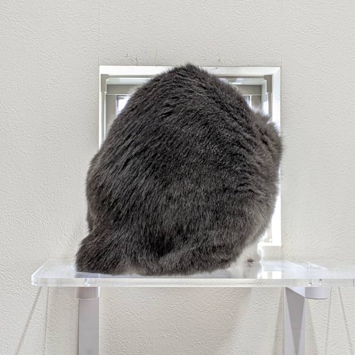 11f5acae 222f 4b1d 8caa 5f634faa7448 1762999326735