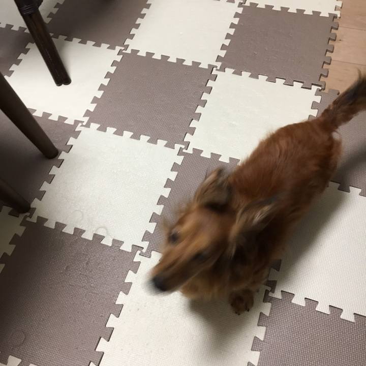 11f5b3d9 1b63 4922 b657 4c233f9ecbd8 1558102983600