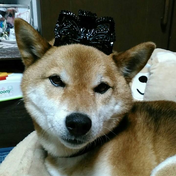 11f5dc4c dd6f 4ba5 b90f 92043a08f869 1559391098657