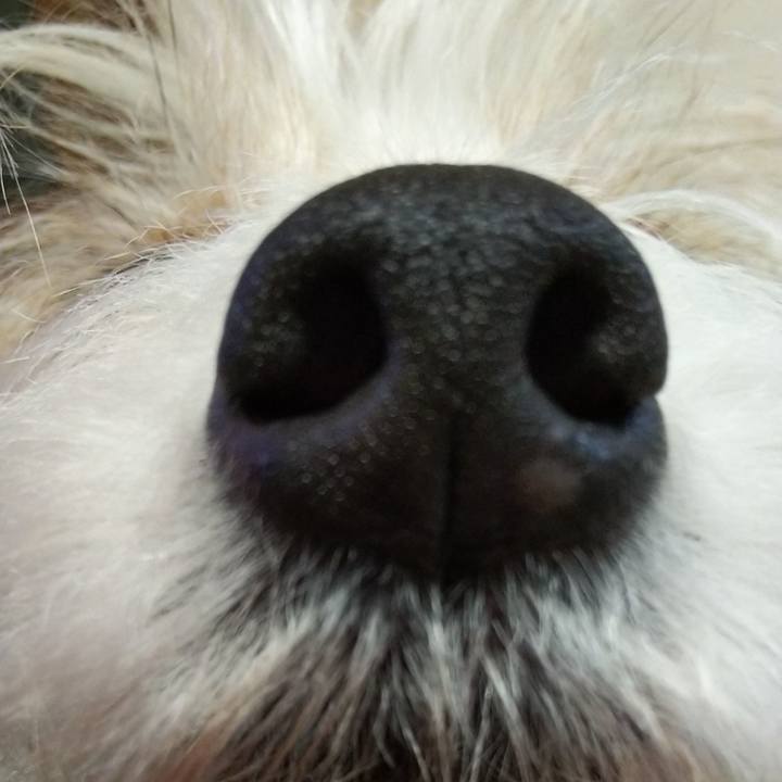 11f5ea30 19ee 4830 b8d7 eebc8f033304 1523543833416