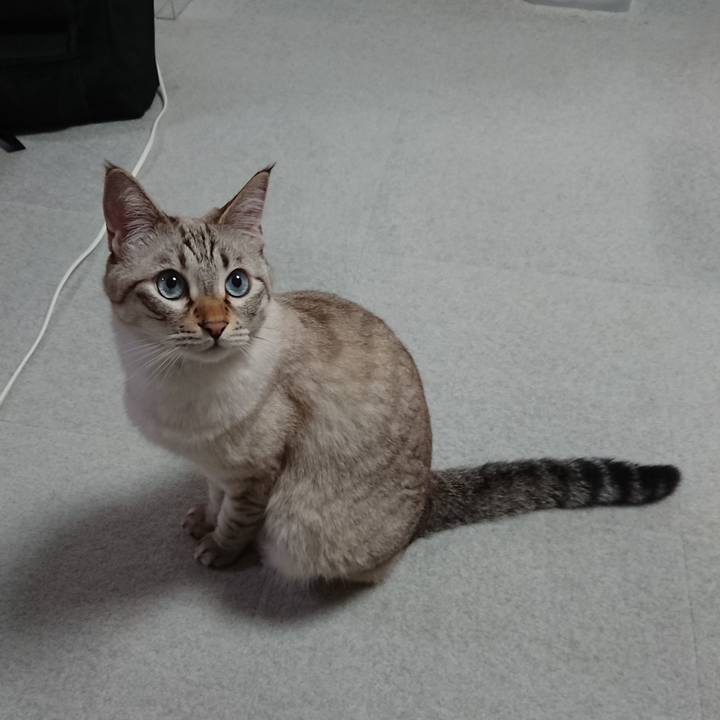 11f5fcc8 a21b 4fec 9833 76ac0f151c98 1571660600275