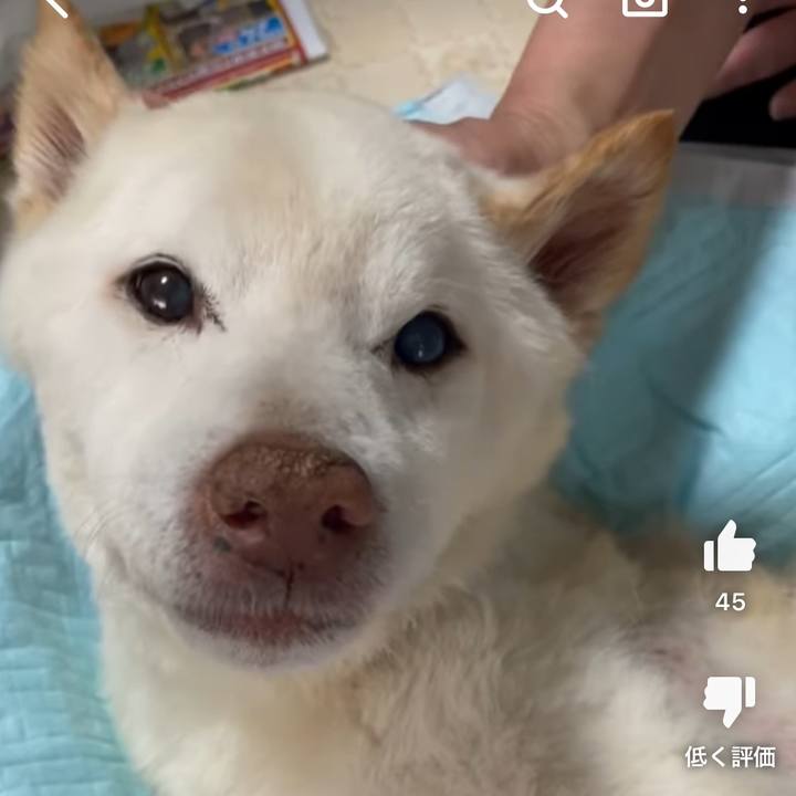 11f601de 357d 43a2 9155 3317b8d056c0 1685364243348