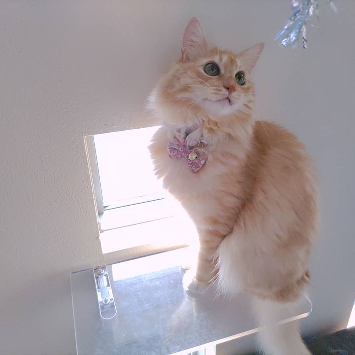 11f61e10 927e 46dc 9716 c60c356737d9 1661982348830