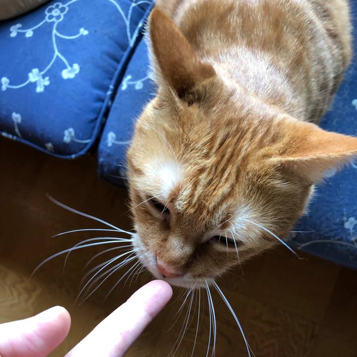 11f6499d 76d1 4a41 9c9f ec7ce63d9a08 1593819185883