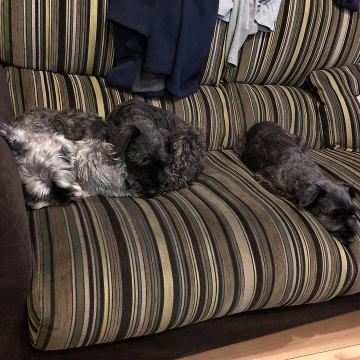 11f64e34 06f5 4a0e ba55 f701849434f4 1520596732569