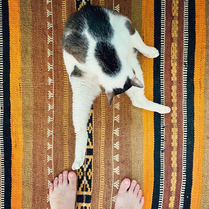 11f66bb4 194a 4c91 b844 e0b3728ab6b8 1595480713440