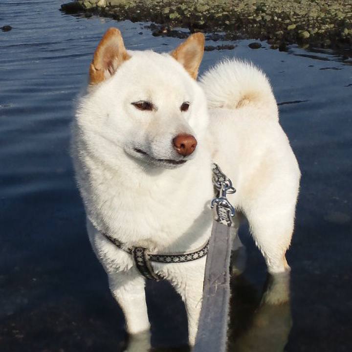 11f6821f 3647 4d7b a877 205e59c003d7 1634038519442