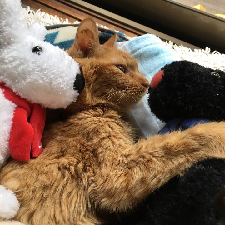 11f69026 0fc4 48c9 930d 3b7d45d14205 1573694526893