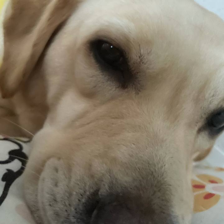 11f69eee af40 4bf2 a02a 988b8a8b4678 1622679479028