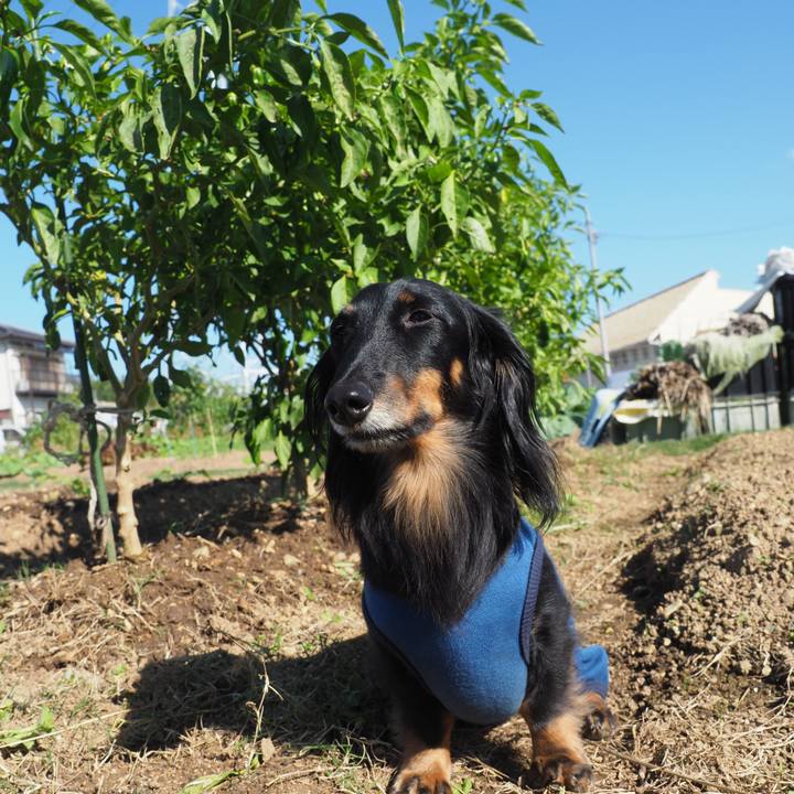 11f6ac3f 6ade 437a 9784 c95e115188bc 1603689534287