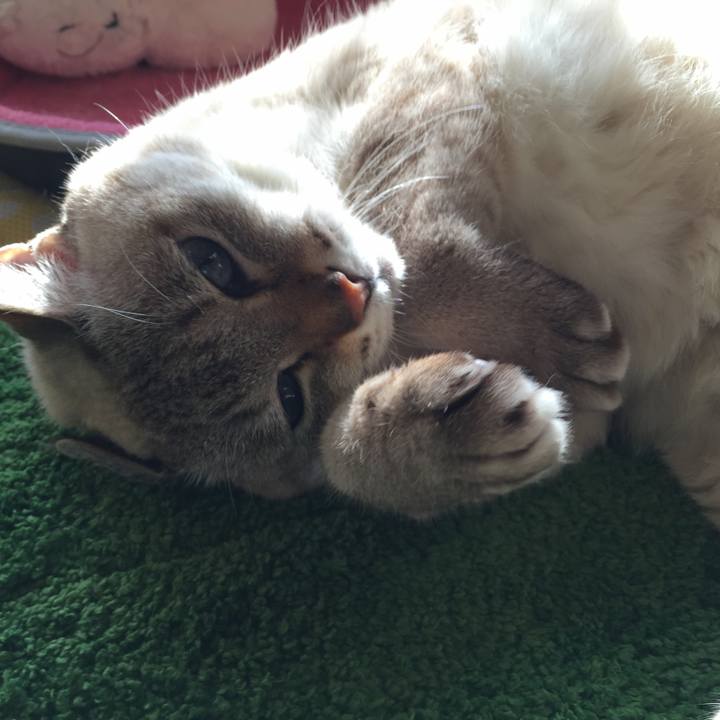 11f6d2ff 3a02 4fc8 9ddc 120860c0a88b 1547789541843