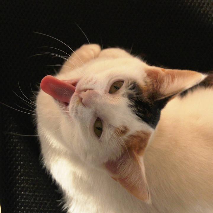 11f6ddb3 2797 4bd2 80dd ea13ea761eb3 1546171632871