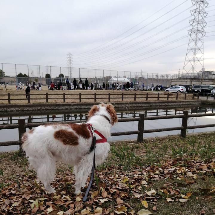 11f6e825 62ff 4588 a90a cff71e4b3d07 1575709291580