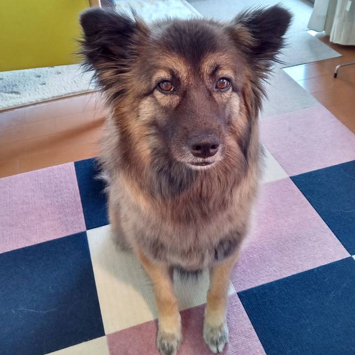 11f6ef68 b900 4621 a250 7b0b442811ce 1770514914973