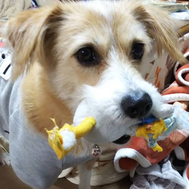 11f72ffc cf37 4b9a 84a3 a9c081bb4199 1547538071697