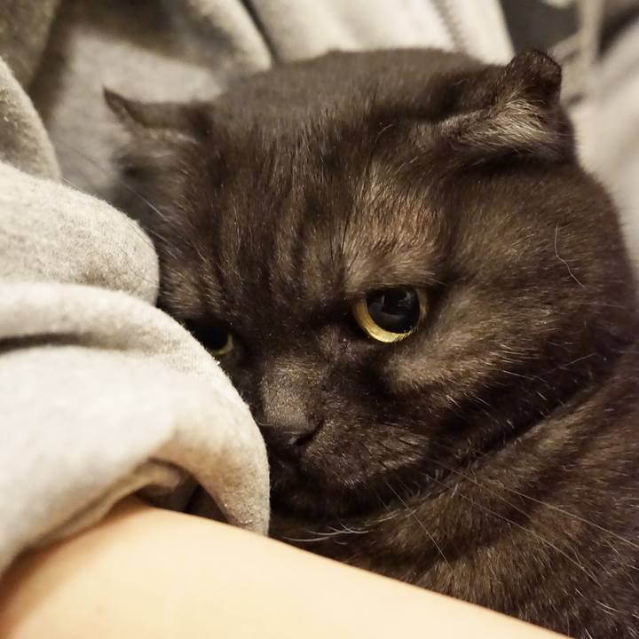 11f73c67 d3d2 4409 967f 1e8c01990176 1581350471335