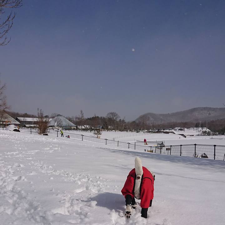 11f740b3 03ca 4cd6 b6be 4b3b9c32db71 1549269127512