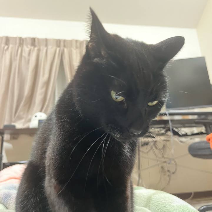 11f7a133 0fd2 431f 9388 2ef38d67cb72 1712319343780