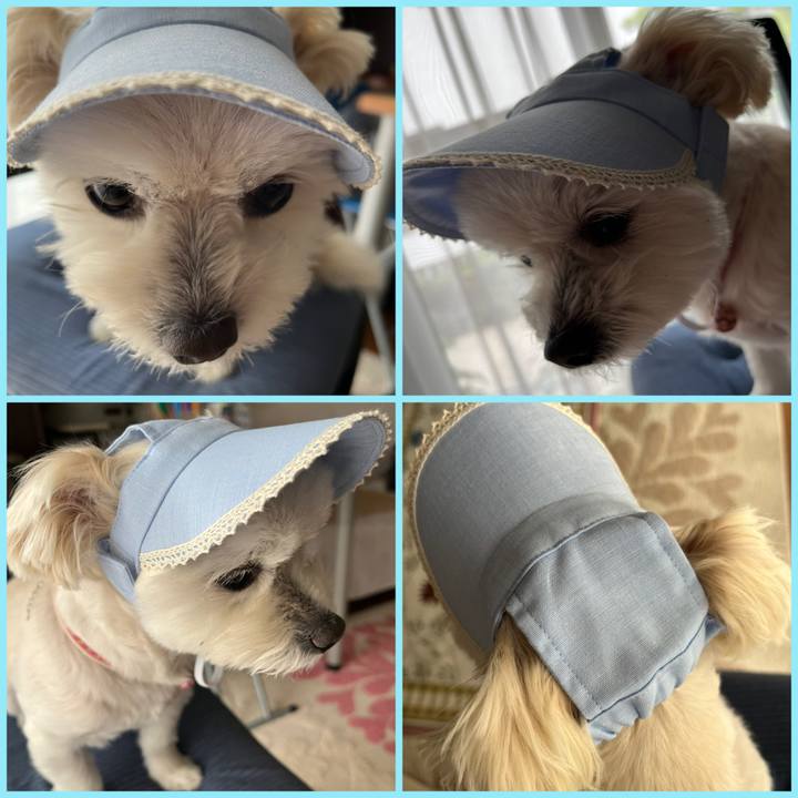 11f7e24b be85 4b71 a3e0 f3d5246073ef 1652771412011