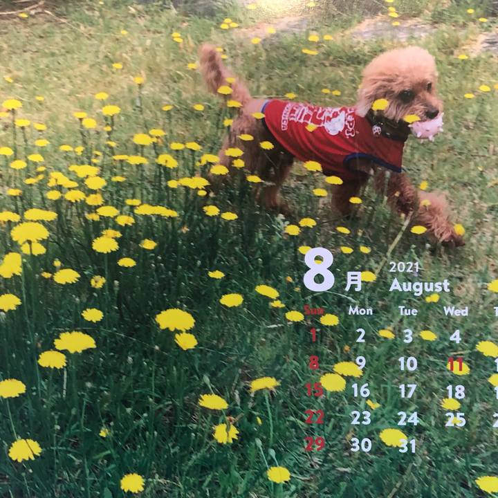 11f7e2ec bb6f 423e 94a3 e1799a8be4d6 1627794016763