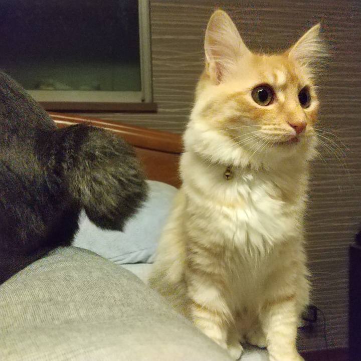 11f7e4b9 cb50 4991 9568 a3bfb058b478 1616674104762